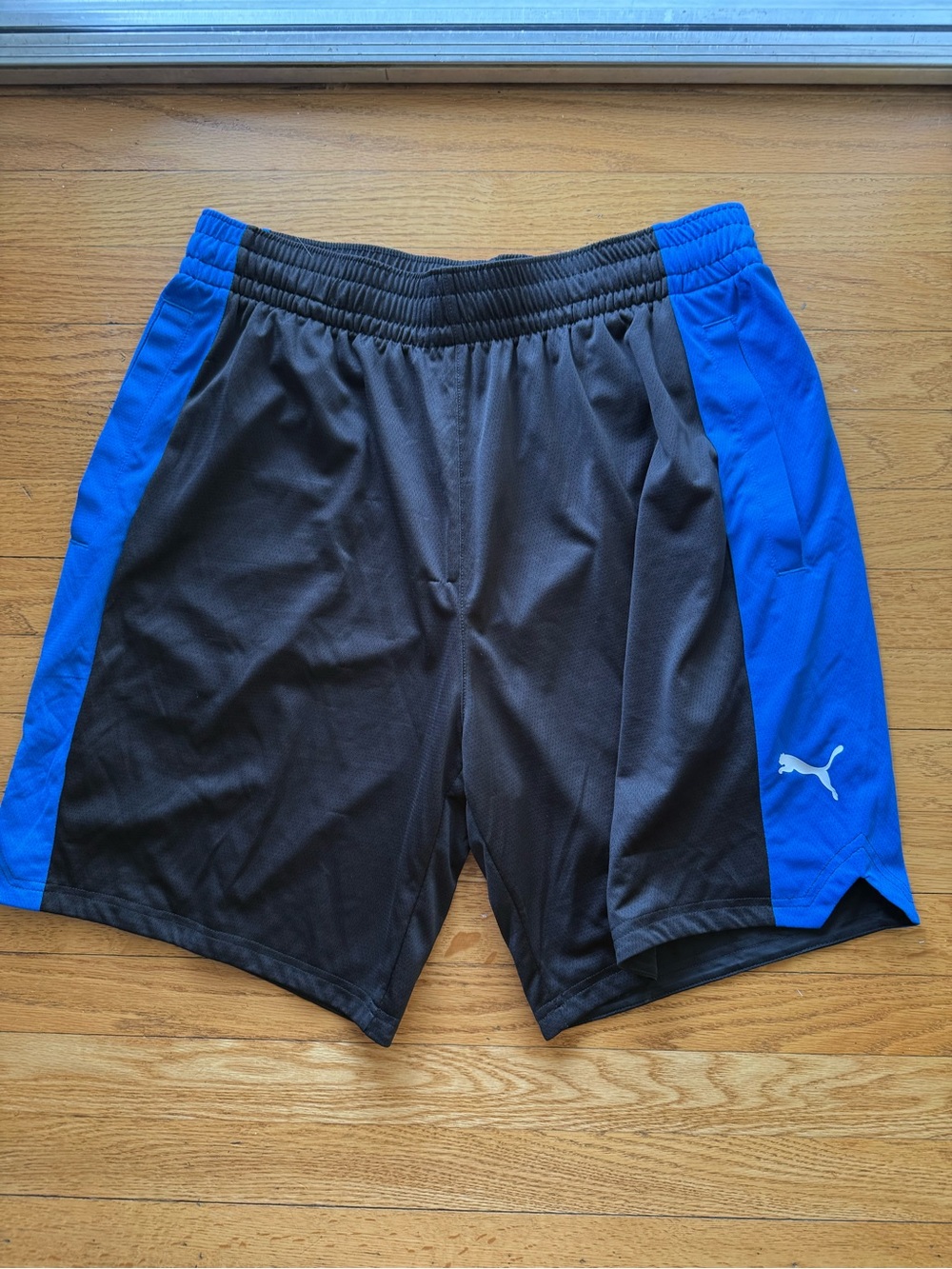 Puma Black with Royal Blue Panel Men's Athletic Shorts